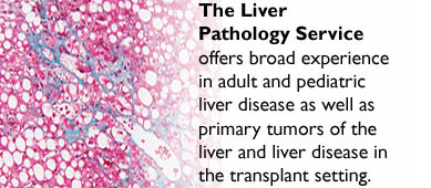 Liver Pathology Service description