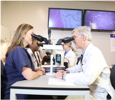 Pathology Faculty looking into microscopes