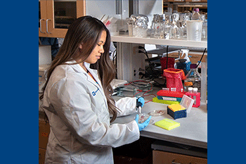 Dr. Loh in the Chen Lab