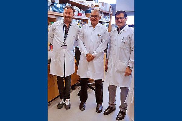 The research team, led by Professor Soman Abraham (centre), included co-first authors Andrea Mencarelli (left) and Pradeep Bist (right). 