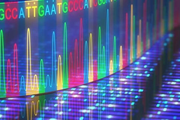 Cancer precision medicine image