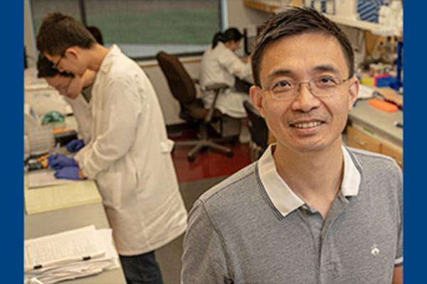Qianben Wang, PhD, in lab