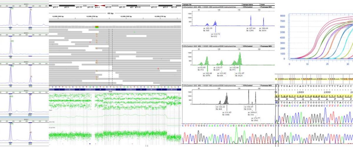 MGP composite graphic