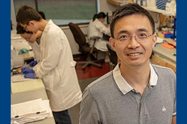 Qianben Wang, PhD, in lab
