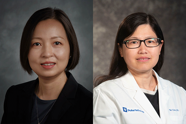 Dr. Fengming Chen (left) and Dr. Wei Chen (right)
