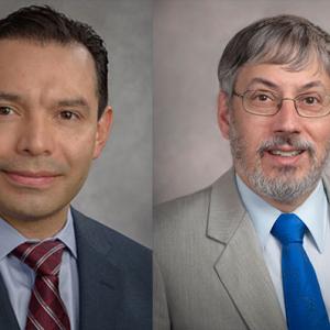 Sergio Piña-Oviedo, MD, and David N. Howell, MD, PhD